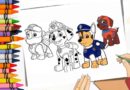 desenho patrulha canina super filhotes para colorir
