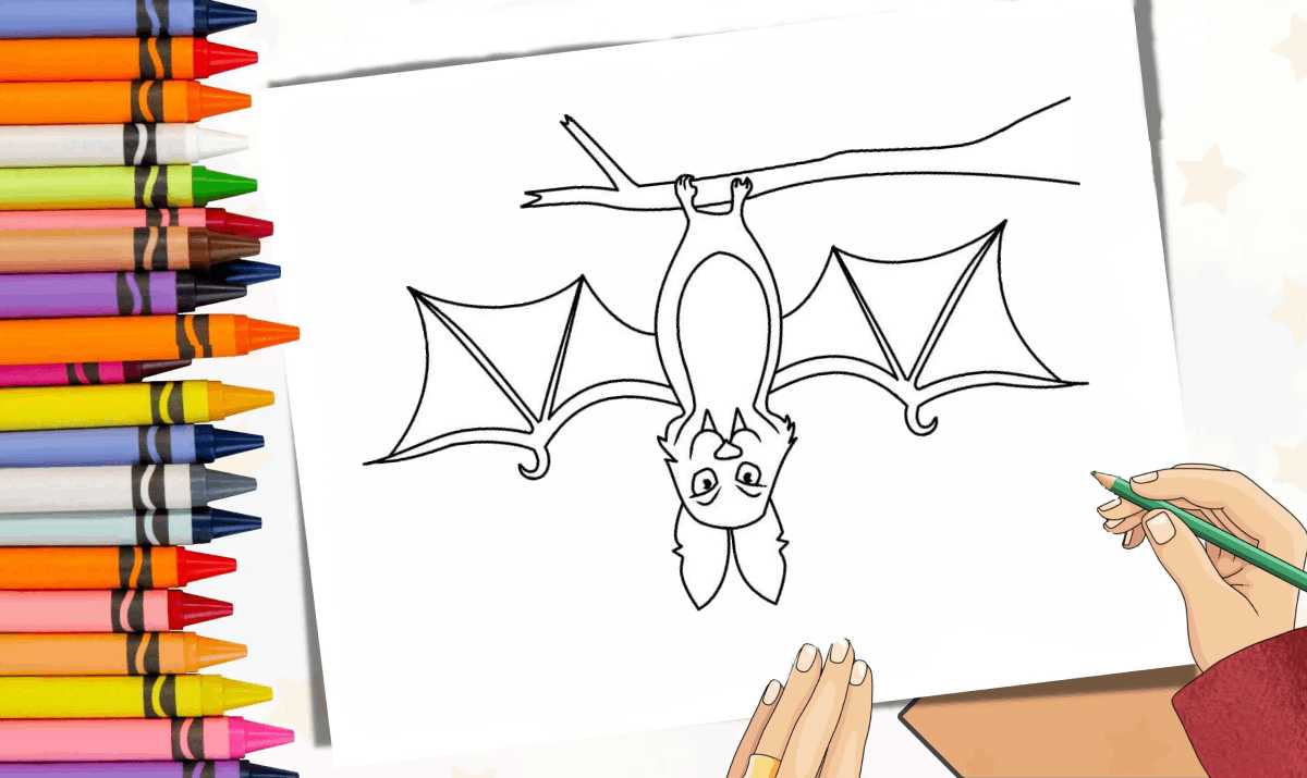 Desenho de Contorno de morcego para colorir