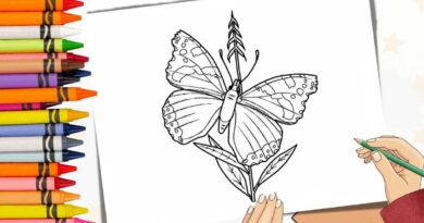 imagens de flores e borboletas para colorir