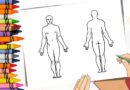 imagens do corpo humano para colorir