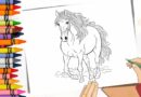 imprimir desenho de cavalo