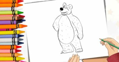 desenho urso colorir